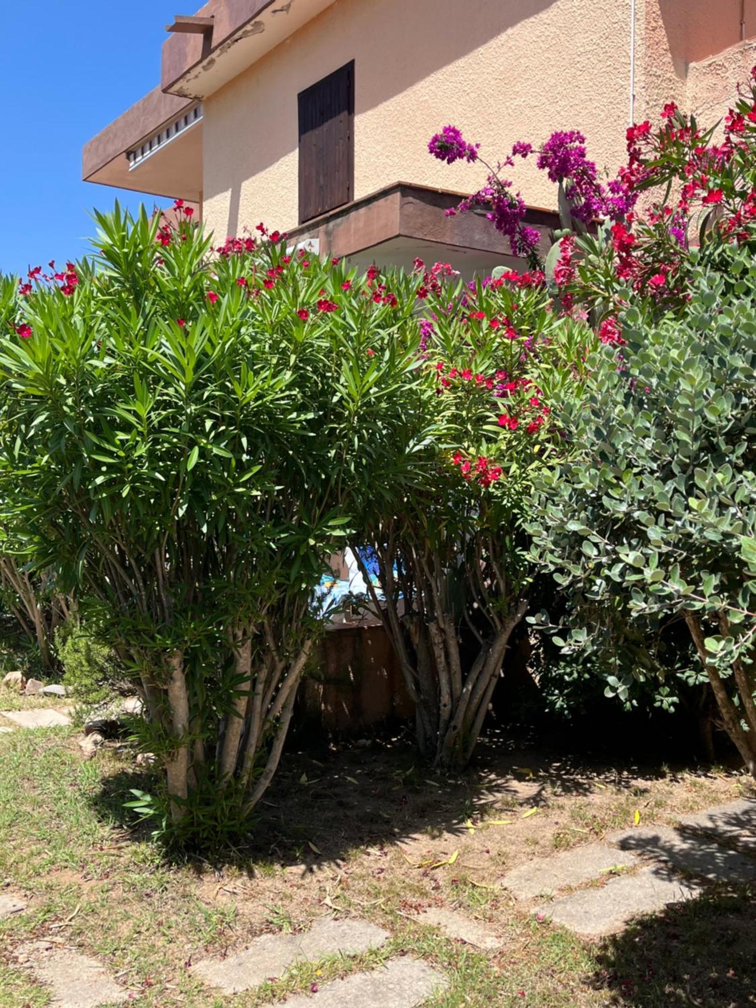 Bilocali Residenza Mediterranea Канниджионе Экстерьер фото